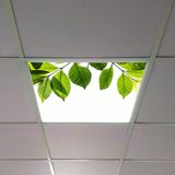 Gök Panel 60X60 LED Panel Aydınlatma Armatür Avize Sıva Altı Desenli Tekli 46510409SA - 6500K - Beyaz