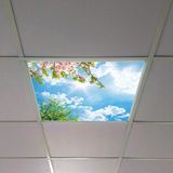 Gök Panel 60X60 LED Panel Aydınlatma Armatür Avize Sıva Altı Desenli Tekli 46510421SA - 6500K - Beyaz