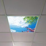 Gök Panel 60X60 LED Panel Aydınlatma Armatür Avize Sıva Altı Desenli Tekli 46510422SA - 6500K - Beyaz