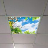 Gök Panel 60X60 LED Panel Aydınlatma Armatür Avize Sıva Altı Desenli Tekli 46510428SA - 6500K - Beyaz