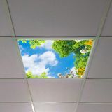Gök Panel 60X60 LED Panel Aydınlatma Armatür Avize Sıva Altı Desenli Tekli 46510429SA - 6500K - Beyaz