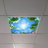 Gök Panel 60X60 LED Panel Aydınlatma Armatür Avize Sıva Altı Desenli Tekli 46510443SA - 6500K - Beyaz