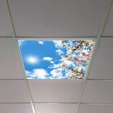 Gök Panel 60X60 LED Panel Aydınlatma Armatür Avize Sıva Altı Desenli Tekli 46510454SA - 6500K - Beyaz