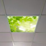 Gök Panel 60X60 LED Panel Aydınlatma Armatür Avize Sıva Altı Desenli Tekli 46510467SA - 6500K - Beyaz