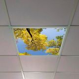 Gök Panel 60X60 LED Panel Aydınlatma Armatür Avize Sıva Altı Desenli Tekli 46510480SA - 6500K - Beyaz