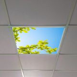 Gök Panel 60X60 LED Panel Aydınlatma Armatür Avize Sıva Altı Desenli Tekli 46510491SA - 6500K - Beyaz