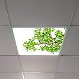 Gök Panel 60X60 LED Panel Aydınlatma Armatür Avize Sıva Altı Desenli Tekli 46510496SA - 6500K - Beyaz