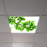 Gök Panel 60X60 LED Panel Aydınlatma Armatür Avize Sıva Altı Desenli Tekli 46510498SA - 6500K - Beyaz