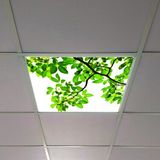 Gök Panel 60X60 LED Panel Aydınlatma Armatür Avize Sıva Altı Desenli Tekli 46510499SA - 6500K - Beyaz