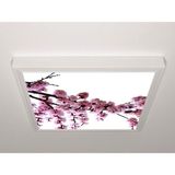 Gök Panel 60X60 LED Panel Aydınlatma Armatür Avize Sıva Üstü Desenli Tekli 46510204SU - 6500K - Beyaz