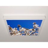 Gök Panel 60X60 LED Panel Aydınlatma Armatür Avize Sıva Üstü Desenli Tekli 46510206SU - 6500K - Beyaz