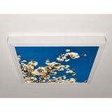 Gök Panel 60X60 LED Panel Aydınlatma Armatür Avize Sıva Üstü Desenli Tekli 46510207SU - 6500K - Beyaz