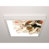 Gök Panel 60X60 LED Panel Aydınlatma Armatür Avize Sıva Üstü Desenli Tekli 46510210SU - 6500K - Beyaz
