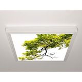 Gök Panel 60X60 LED Panel Aydınlatma Armatür Avize Sıva Üstü Desenli Tekli 46510401SU - 6500K - Beyaz