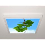 Gök Panel 60X60 LED Panel Aydınlatma Armatür Avize Sıva Üstü Desenli Tekli 46510402SU - 6500K - Beyaz