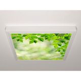 Gök Panel 60X60 LED Panel Aydınlatma Armatür Avize Sıva Üstü Desenli Tekli 46510403SU - 6500K - Beyaz