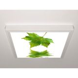 Gök Panel 60X60 LED Panel Aydınlatma Armatür Avize Sıva Üstü Desenli Tekli 46510405SU - 6500K - Beyaz