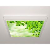 Gök Panel 60X60 LED Panel Aydınlatma Armatür Avize Sıva Üstü Desenli Tekli 46510406SU - 6500K - Beyaz