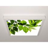 Gök Panel 60X60 LED Panel Aydınlatma Armatür Avize Sıva Üstü Desenli Tekli 46510408SU - 6500K - Beyaz