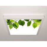 Gök Panel 60X60 LED Panel Aydınlatma Armatür Avize Sıva Üstü Desenli Tekli 46510409SU - 6500K - Beyaz