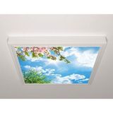 Gök Panel 60X60 LED Panel Aydınlatma Armatür Avize Sıva Üstü Desenli Tekli 46510421SU - 6500K - Beyaz