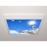 Gök Panel 60X60 LED Panel Aydınlatma Armatür Avize Sıva Üstü Desenli Tekli 46510426SU - 6500K - Beyaz