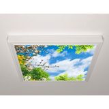 Gök Panel 60X60 LED Panel Aydınlatma Armatür Avize Sıva Üstü Desenli Tekli 46510428SU - 6500K - Beyaz