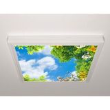 Gök Panel 60X60 LED Panel Aydınlatma Armatür Avize Sıva Üstü Desenli Tekli 46510429SU - 6500K - Beyaz