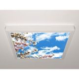 Gök Panel 60X60 LED Panel Aydınlatma Armatür Avize Sıva Üstü Desenli Tekli 46510453SU - 6500K - Beyaz
