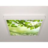 Gök Panel 60X60 LED Panel Aydınlatma Armatür Avize Sıva Üstü Desenli Tekli 46510462SU - 6500K - Beyaz