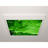Gök Panel 60X60 LED Panel Aydınlatma Armatür Avize Sıva Üstü Desenli Tekli 46510465SU - 6500K - Beyaz