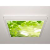 Gök Panel 60X60 LED Panel Aydınlatma Armatür Avize Sıva Üstü Desenli Tekli 46510467SU - 6500K - Beyaz