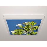 Gök Panel 60X60 LED Panel Aydınlatma Armatür Avize Sıva Üstü Desenli Tekli 46510473SU - 6500K - Beyaz