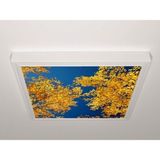 Gök Panel 60X60 LED Panel Aydınlatma Armatür Avize Sıva Üstü Desenli Tekli 46510476SU - 6500K - Beyaz
