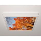 Gök Panel 60X60 LED Panel Aydınlatma Armatür Avize Sıva Üstü Desenli Tekli 46510478SU - 6500K - Beyaz