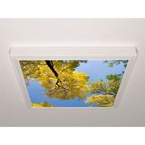 Gök Panel 60X60 LED Panel Aydınlatma Armatür Avize Sıva Üstü Desenli Tekli 46510480SU - 6500K - Beyaz