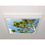 Gök Panel 60X60 LED Panel Aydınlatma Armatür Avize Sıva Üstü Desenli Tekli 46510489SU - 6500K - Beyaz