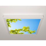 Gök Panel 60X60 LED Panel Aydınlatma Armatür Avize Sıva Üstü Desenli Tekli 46510491SU - 6500K - Beyaz