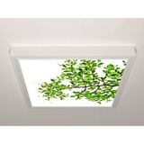 Gök Panel 60X60 LED Panel Aydınlatma Armatür Avize Sıva Üstü Desenli Tekli 46510496SU - 6500K - Beyaz