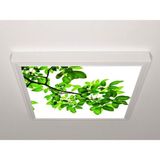Gök Panel 60X60 LED Panel Aydınlatma Armatür Avize Sıva Üstü Desenli Tekli 46510498SU - 6500K - Beyaz