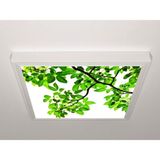 Gök Panel 60X60 LED Panel Aydınlatma Armatür Avize Sıva Üstü Desenli Tekli 46510499SU - 6500K - Beyaz