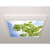 Gök Panel 60X60 LED Panel Aydınlatma Armatür Avize Sıva Üstü Desenli Tekli 46510501SU - 6500K - Beyaz