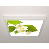 Gök Panel 60X60 LED Panel Aydınlatma Armatür Avize Sıva Üstü Desenli Tekli 46510523SU - 6500K - Beyaz