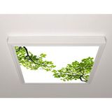 Gök Panel 60X60 LED Panel Aydınlatma Armatür Avize Sıva Üstü Desenli Tekli 46510525SU - 6500K - Beyaz