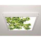 Gök Panel 60X60 LED Panel Aydınlatma Armatür Avize Sıva Üstü Desenli Tekli 46510528SU - 6500K - Beyaz