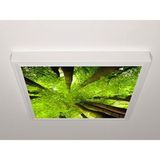 Gök Panel 60X60 LED Panel Aydınlatma Armatür Avize Sıva Üstü Desenli Tekli 46510531SU - 6500K - Beyaz