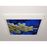 Gök Panel 60X60 LED Panel Aydınlatma Armatür Avize Sıva Üstü Desenli Tekli 46510533SU - 6500K - Beyaz