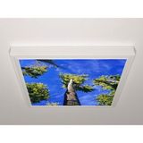 Gök Panel 60X60 LED Panel Aydınlatma Armatür Avize Sıva Üstü Desenli Tekli 46510536SU - 6500K - Beyaz