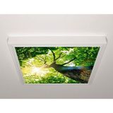 Gök Panel 60X60 LED Panel Aydınlatma Armatür Avize Sıva Üstü Desenli Tekli 46510538SU - 6500K - Beyaz