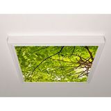 Gök Panel 60X60 LED Panel Aydınlatma Armatür Avize Sıva Üstü Desenli Tekli 46510539SU - 6500K - Beyaz